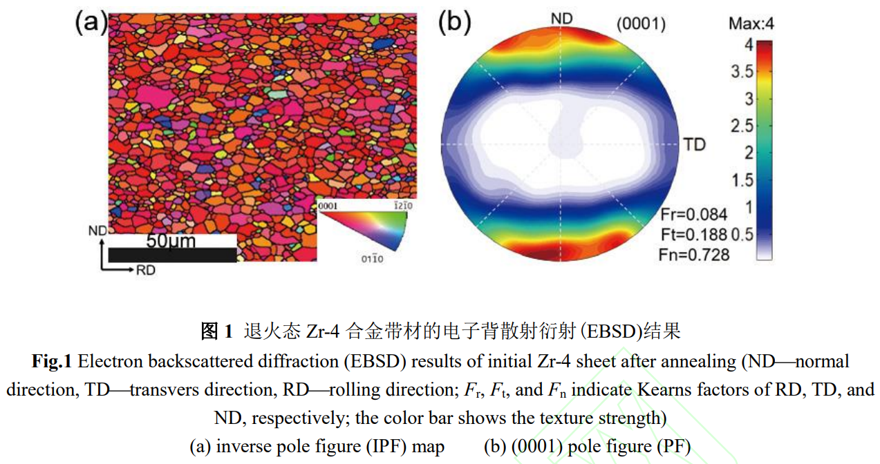 鋯合金帶材沖制過(guò)程織構(gòu)演變和變形機(jī)制：實(shí)驗(yàn)和宏微觀耦合模擬研究