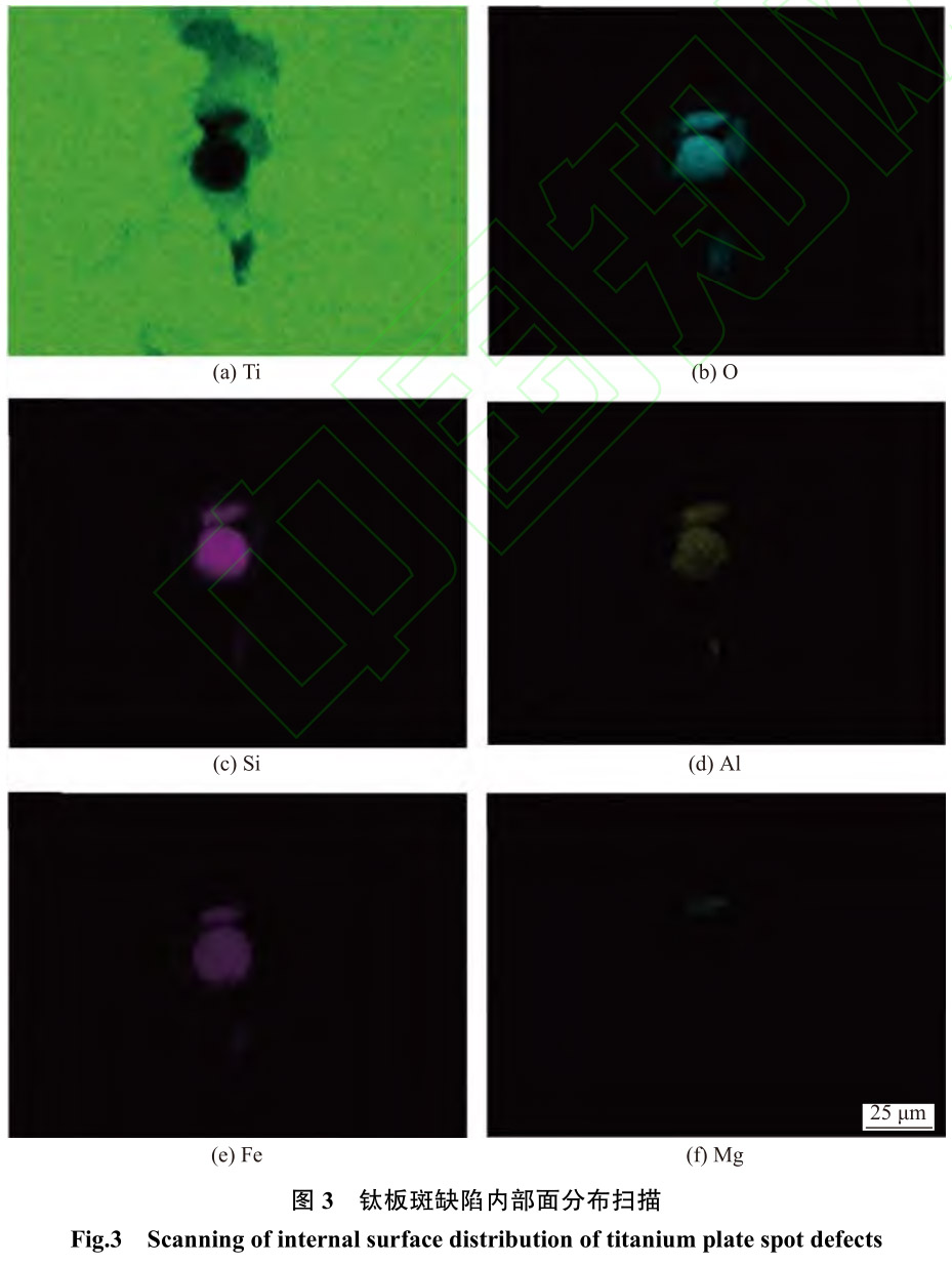 1713104765598694.jpg t3.jpg