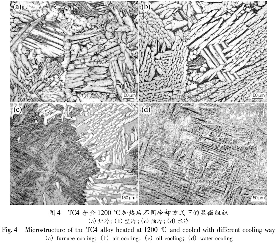 1704926427662956.jpg t4.jpg