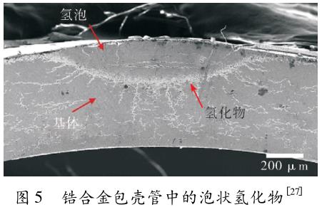 1720175369442589.jpg 360截圖16571228415877.jpg