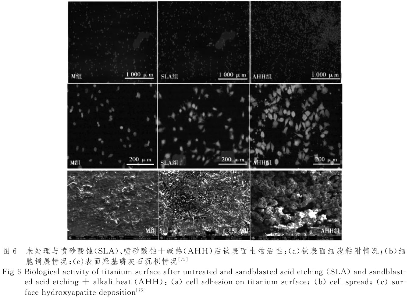 1720340182654419.jpg t6.jpg