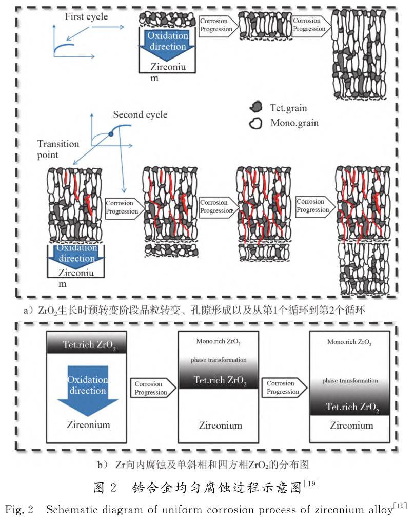 1729065232246122.jpg t2.jpg