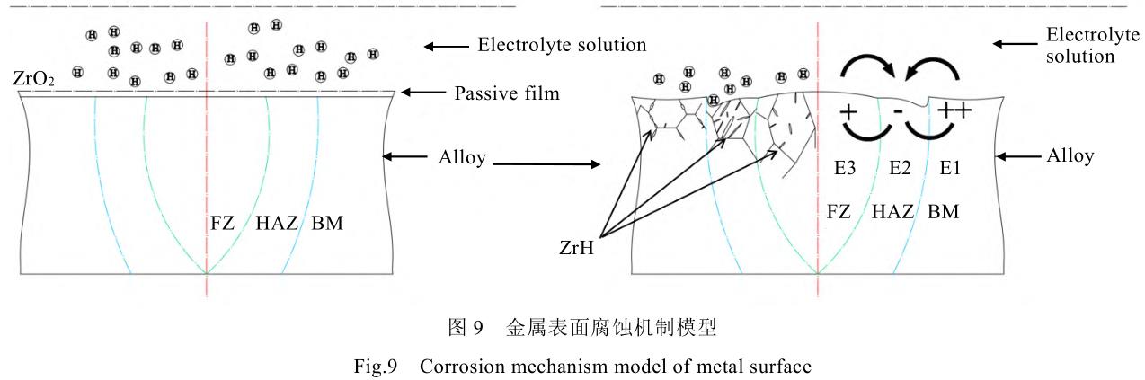 1729070686746606.jpg 9.jpg
