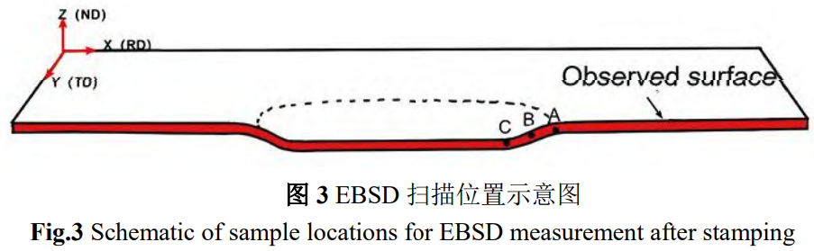 1734139617676669.png 3.png