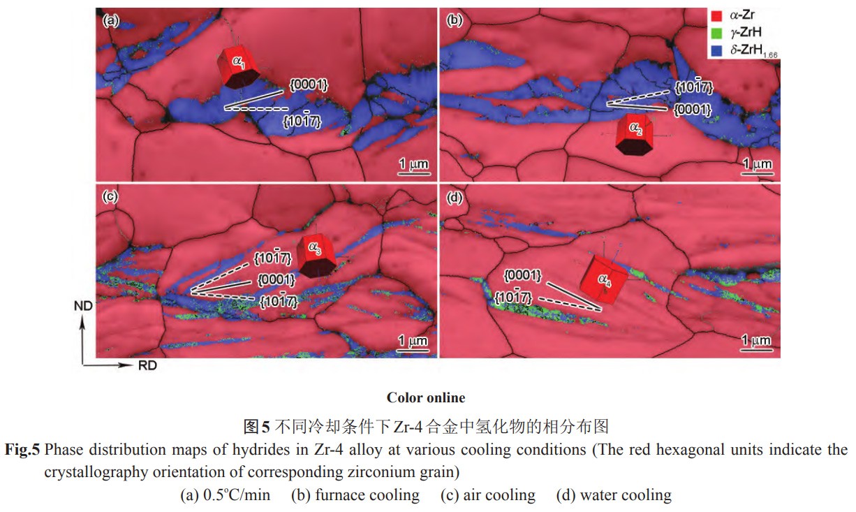 1734144475489841.jpg 5.jpg